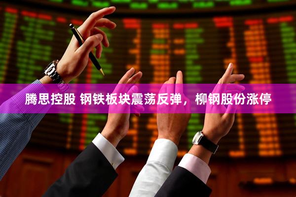 腾思控股 钢铁板块震荡反弹，柳钢股份涨停