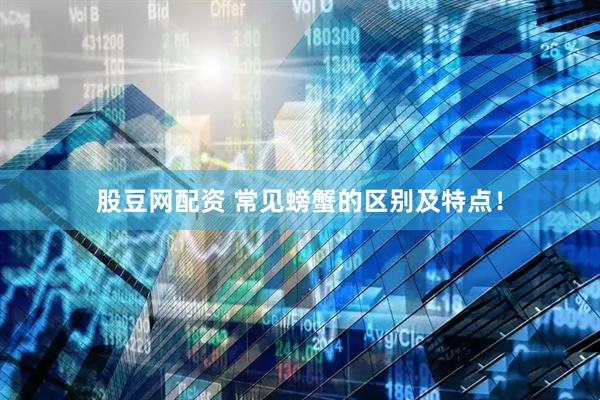 股豆网配资 常见螃蟹的区别及特点！