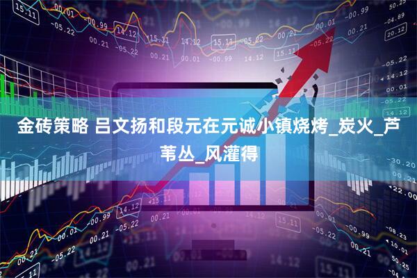 金砖策略 吕文扬和段元在元诚小镇烧烤_炭火_芦苇丛_风灌得