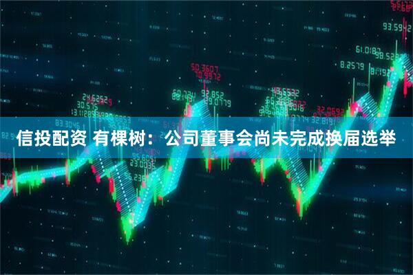 信投配资 有棵树：公司董事会尚未完成换届选举